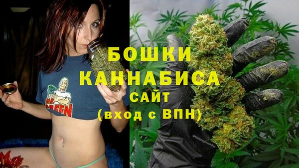 apvp Магас
