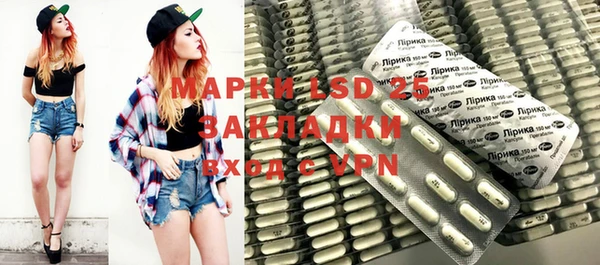 apvp Магас