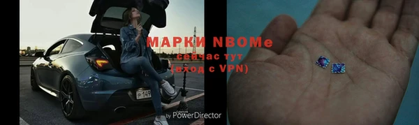 прущие грибы Майский