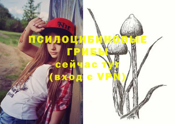 apvp Магас