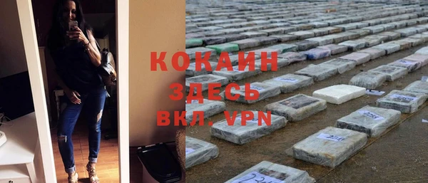 прущие грибы Майский