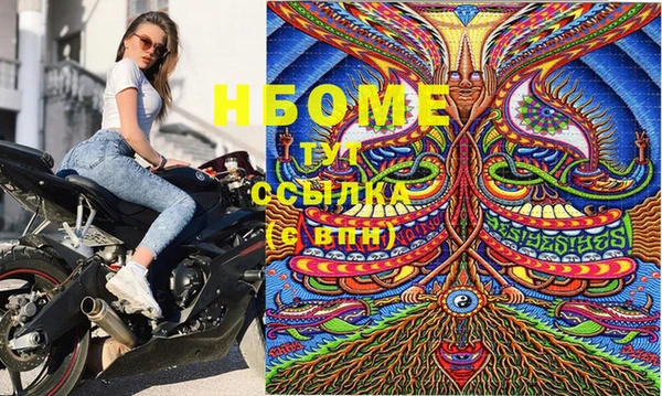 прущие грибы Майский