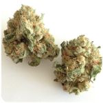 Шишки "White Widow"  (Белая вдова)  Гидропоника -  Бошка VHQ в Пучеже